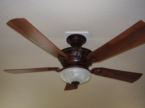 Dark brown ceiling fan with light kit